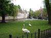 2005-Bruges-006.jpg