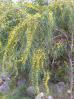 DSCN0079.JPG