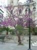 DSCN0141.JPG