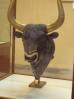 DSCN0178.JPG