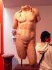 Photos_treves-(11).jpg
