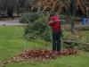 jardinage-(5).jpg