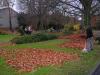 DSCN9030.jpg