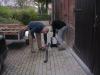DSCN9037.jpg