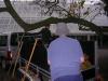 DSCN9039.jpg