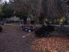 DSCN9040.jpg