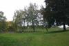 TREVES-144.jpg