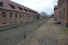 Retraite Auschwitz (21).jpg